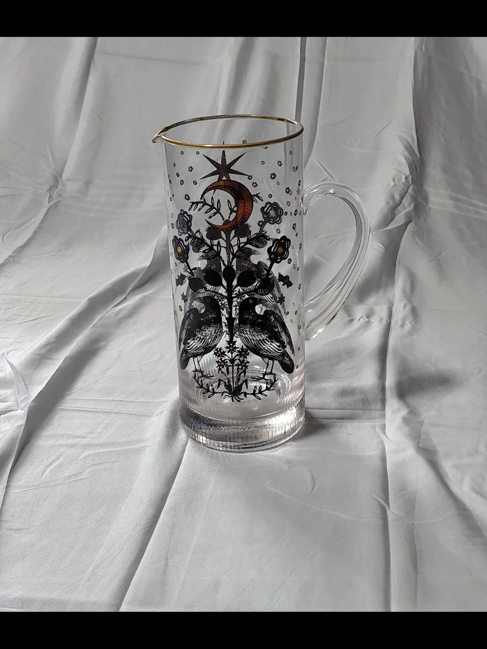 Tall Whimsygoth Celestial Witchy Crow Motif Glass Pitcher